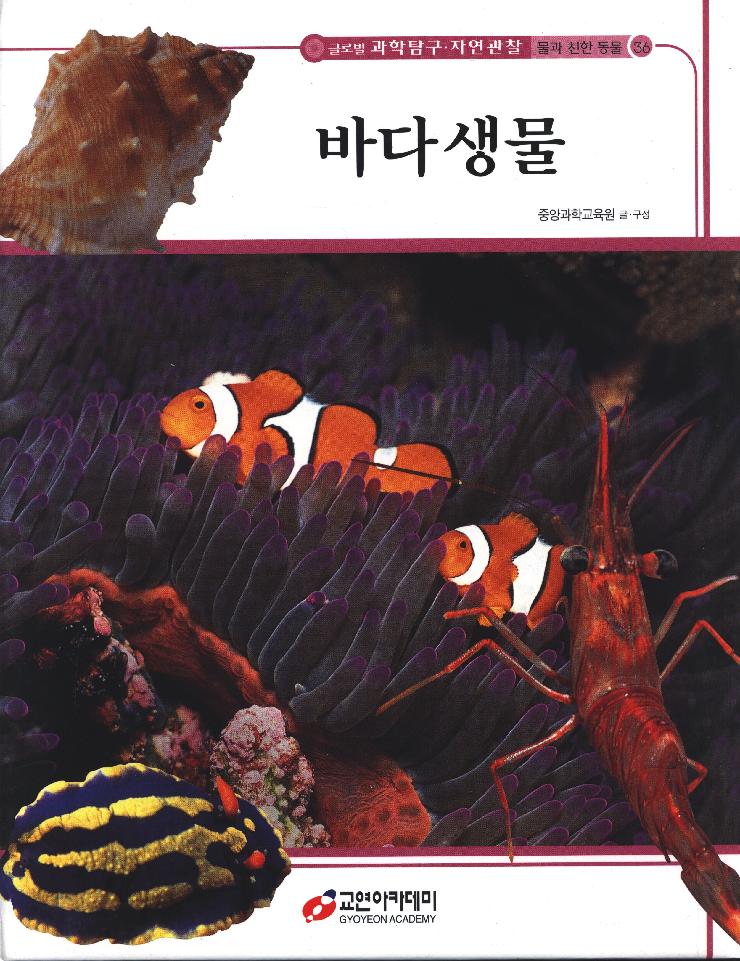 바다생물